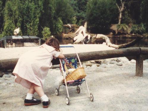 At Healesville Sanctuary